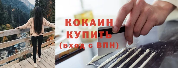 apvp Протвино