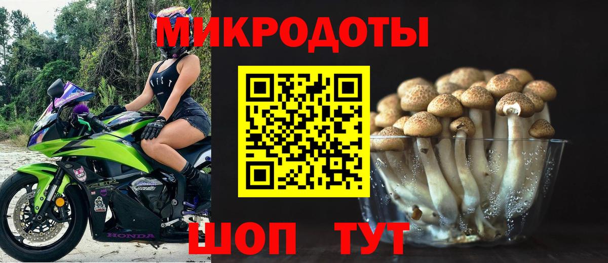 Большой Камень  Псилоцибиновые грибы GOLDEN TEACHER  Вход с VPN 